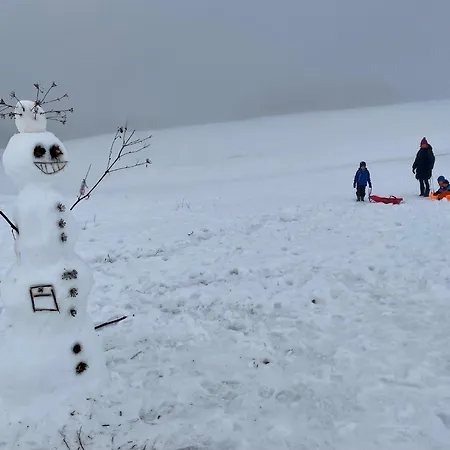 Апартаменты Aparment Klara - 10 Min To Chopok Jasna, Myto, Tale *