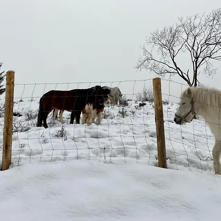 Aparment Klara - 10 Min To Chopok Jasna, Myto, Tale Apartmán