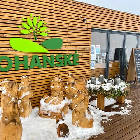 Апартаменты Aparment Klara - 10 Min To Chopok Jasna, Myto, Tale Мито-под-Дюмбьером