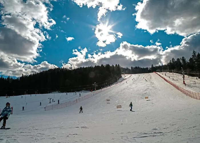 Aparment Klara - 10 Min To Chopok Jasna, Myto, Tale דירה Mýto pod Ďumbierom