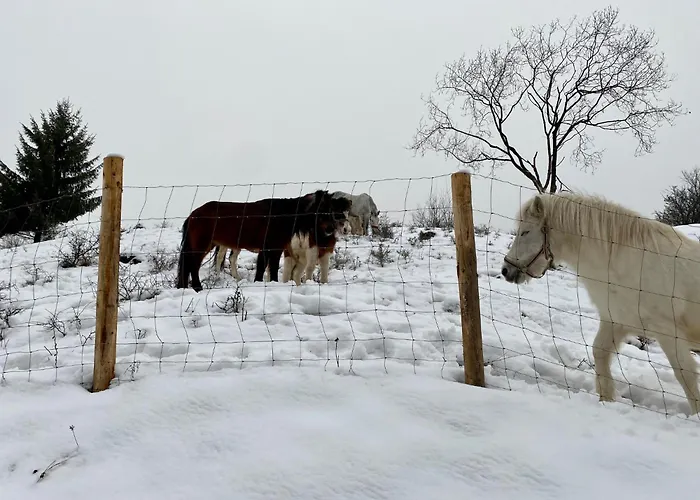 Aparment Klara - 10 Min To Chopok Jasna, Myto, Tale דירה
